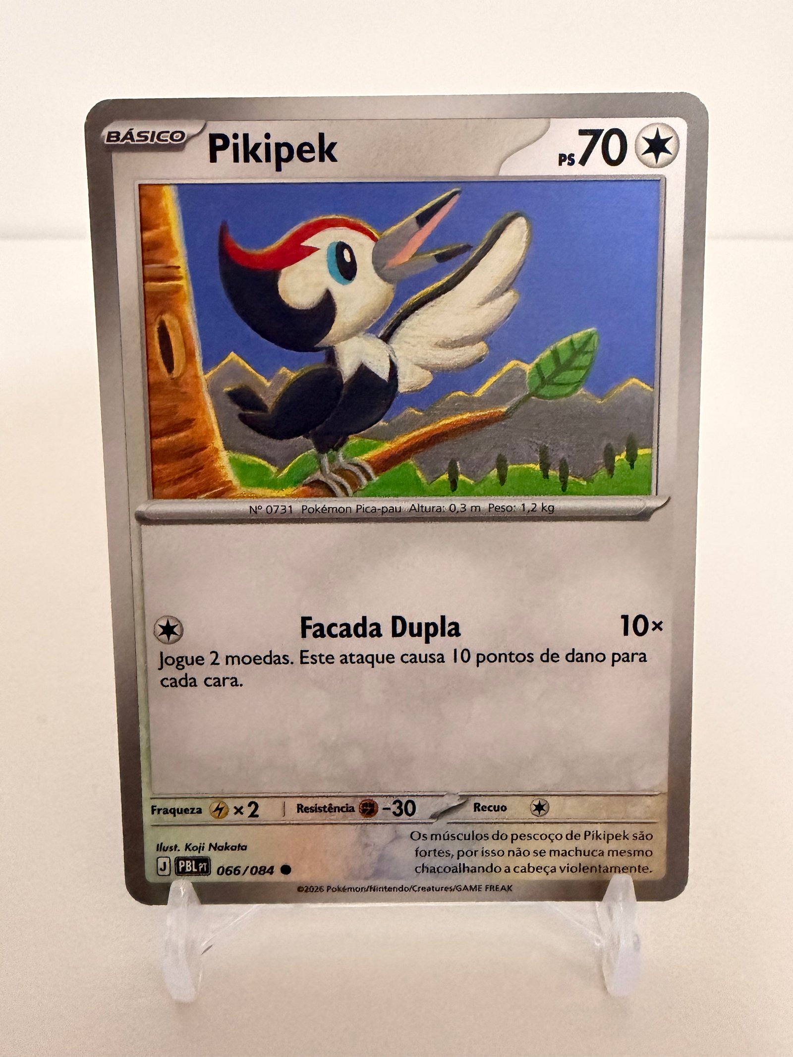 Polipropileno 066/84 comum