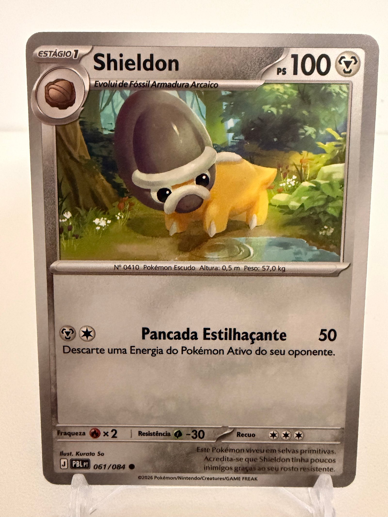 Shieldon 061/84 comum