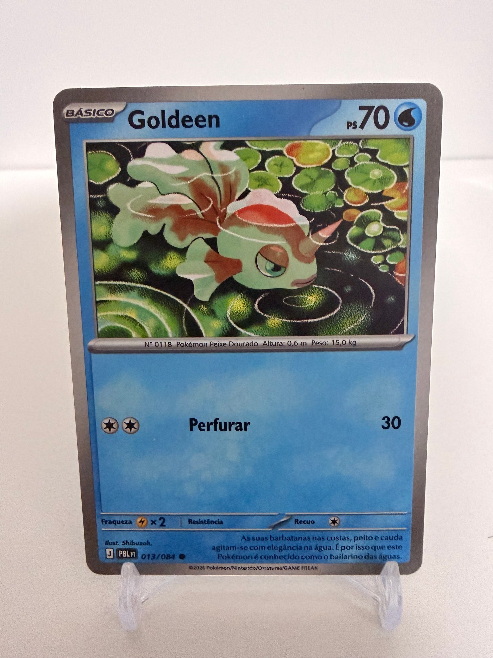 Goldeen 013/84 comum