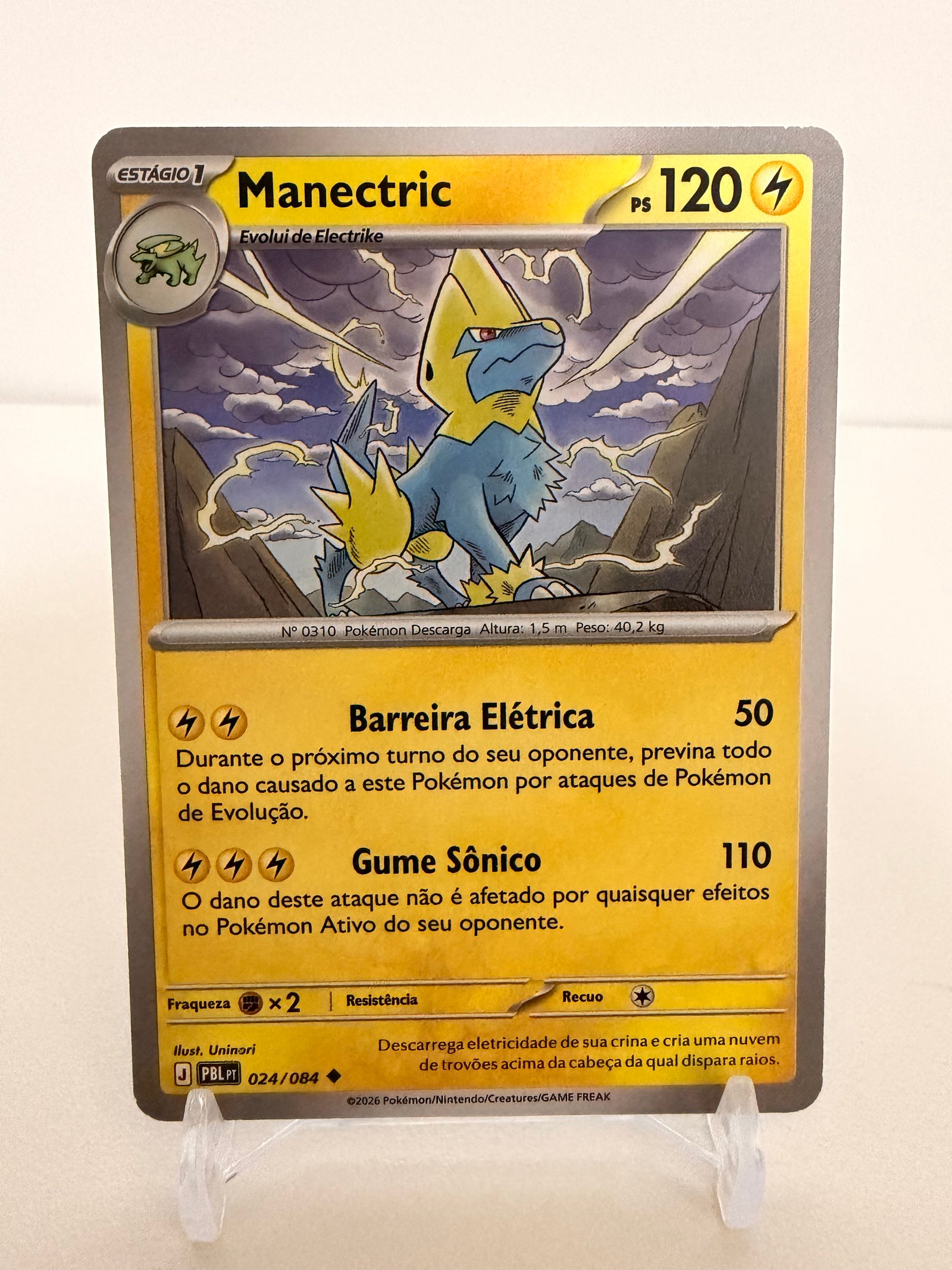 Manectric 024/84 comum