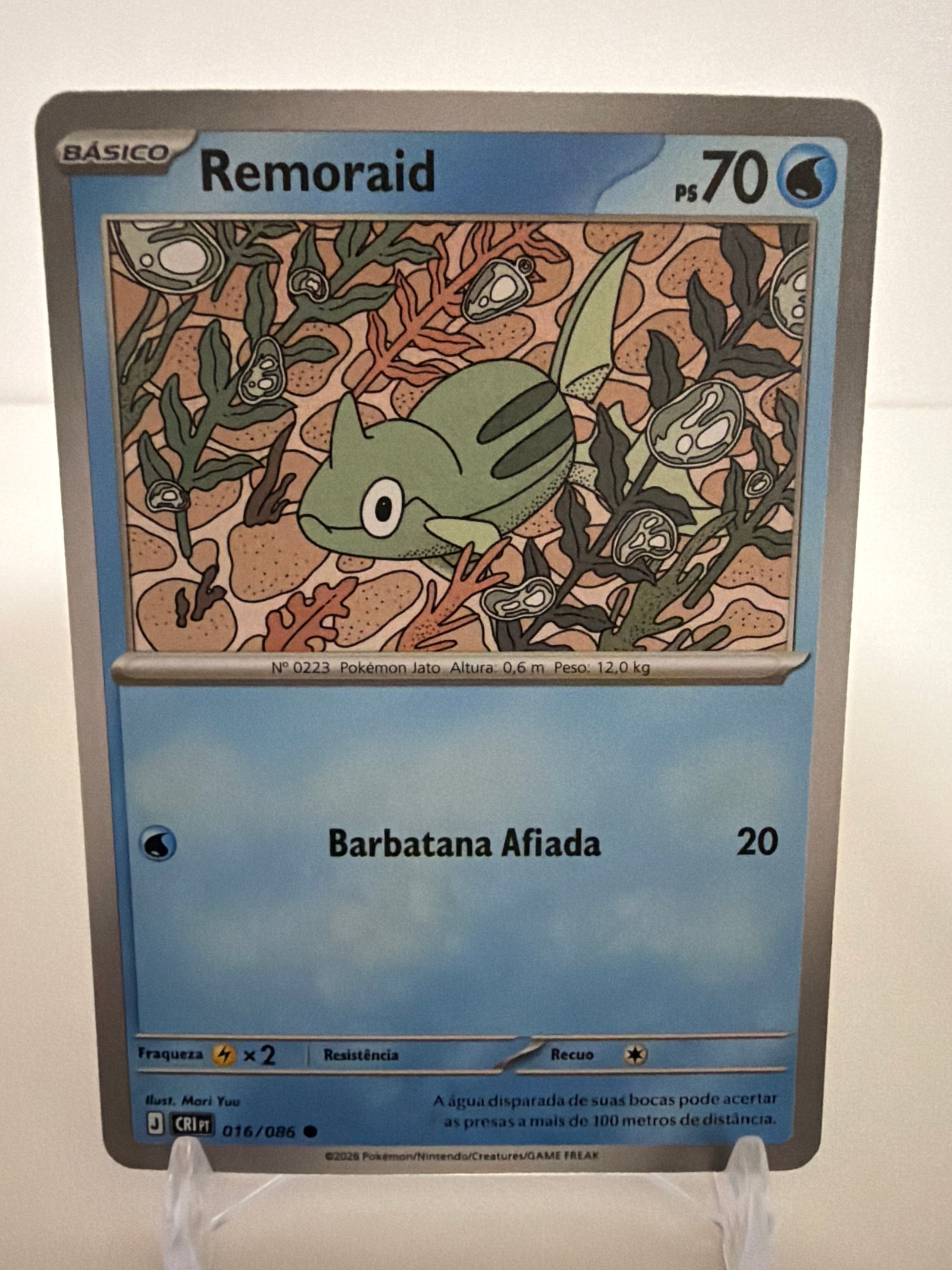 Remoraid 016/86 comum