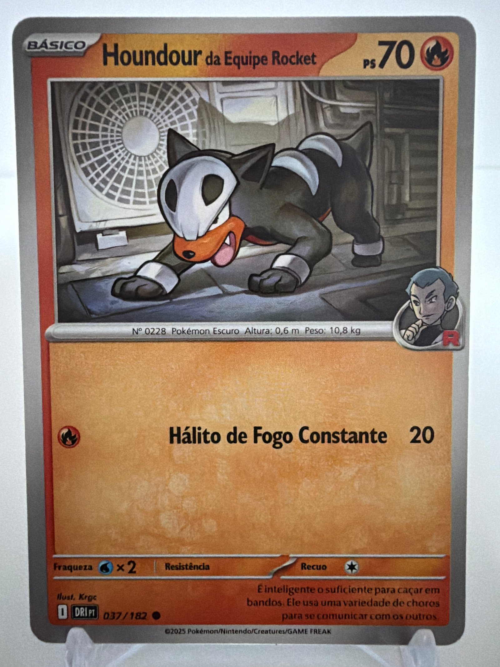 Houndour da equipe Rocket 037/182 comum