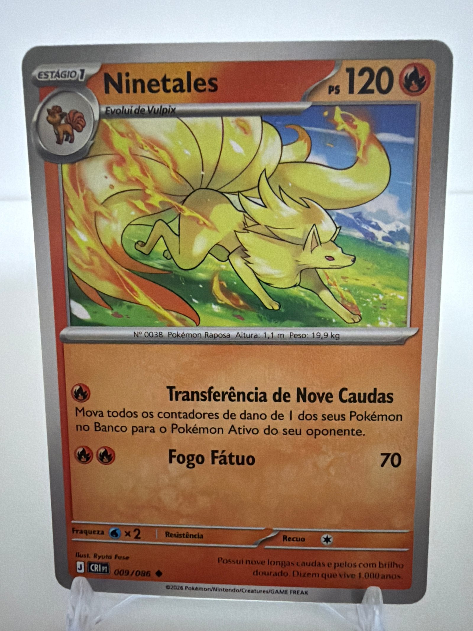 Ninetales 009/86 comum