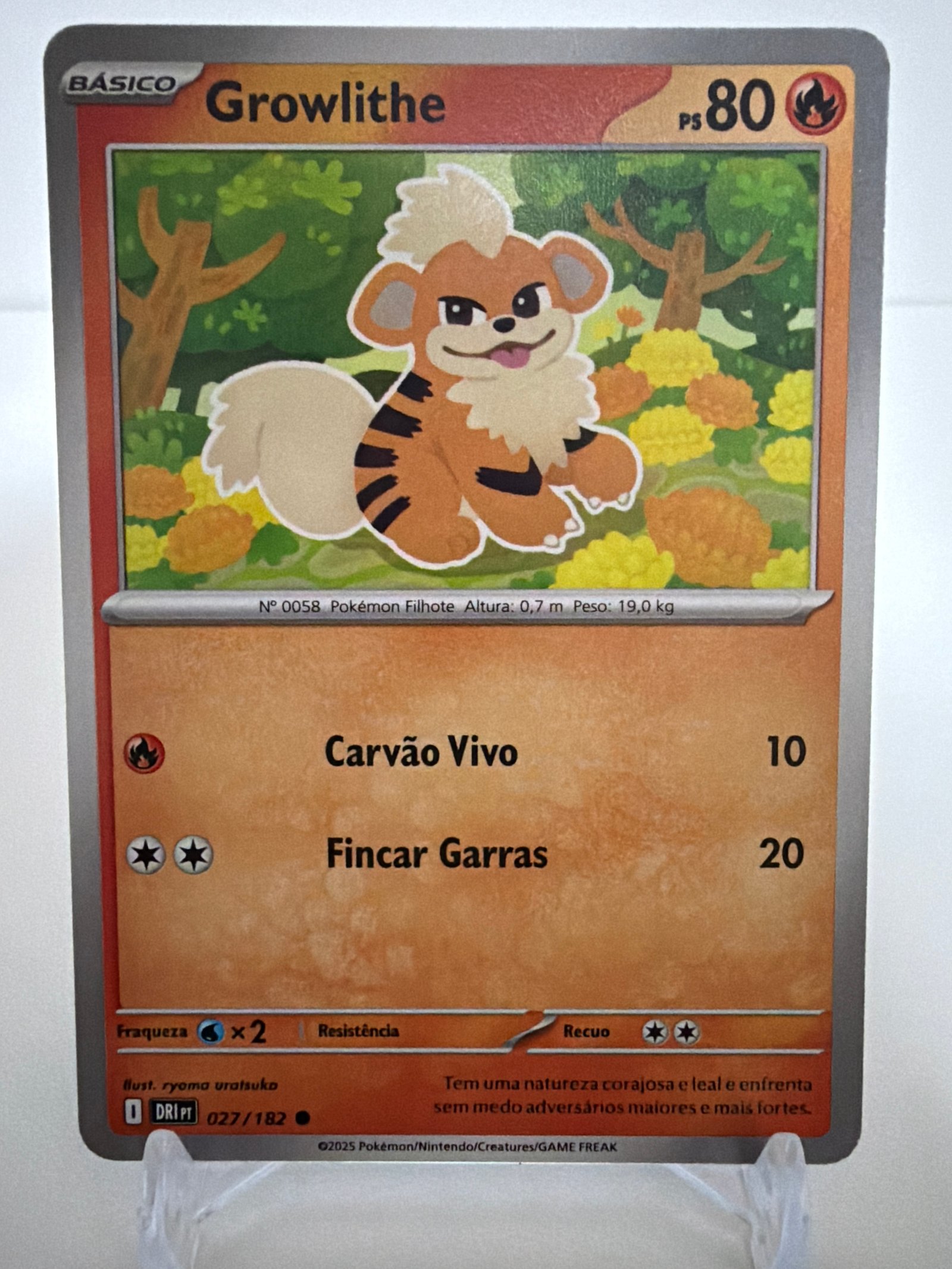 Growlithe 027/182 comum