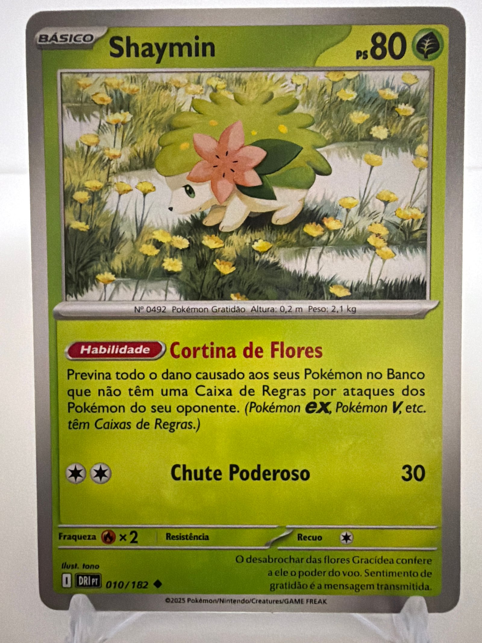 Shaymin 010/182 comum