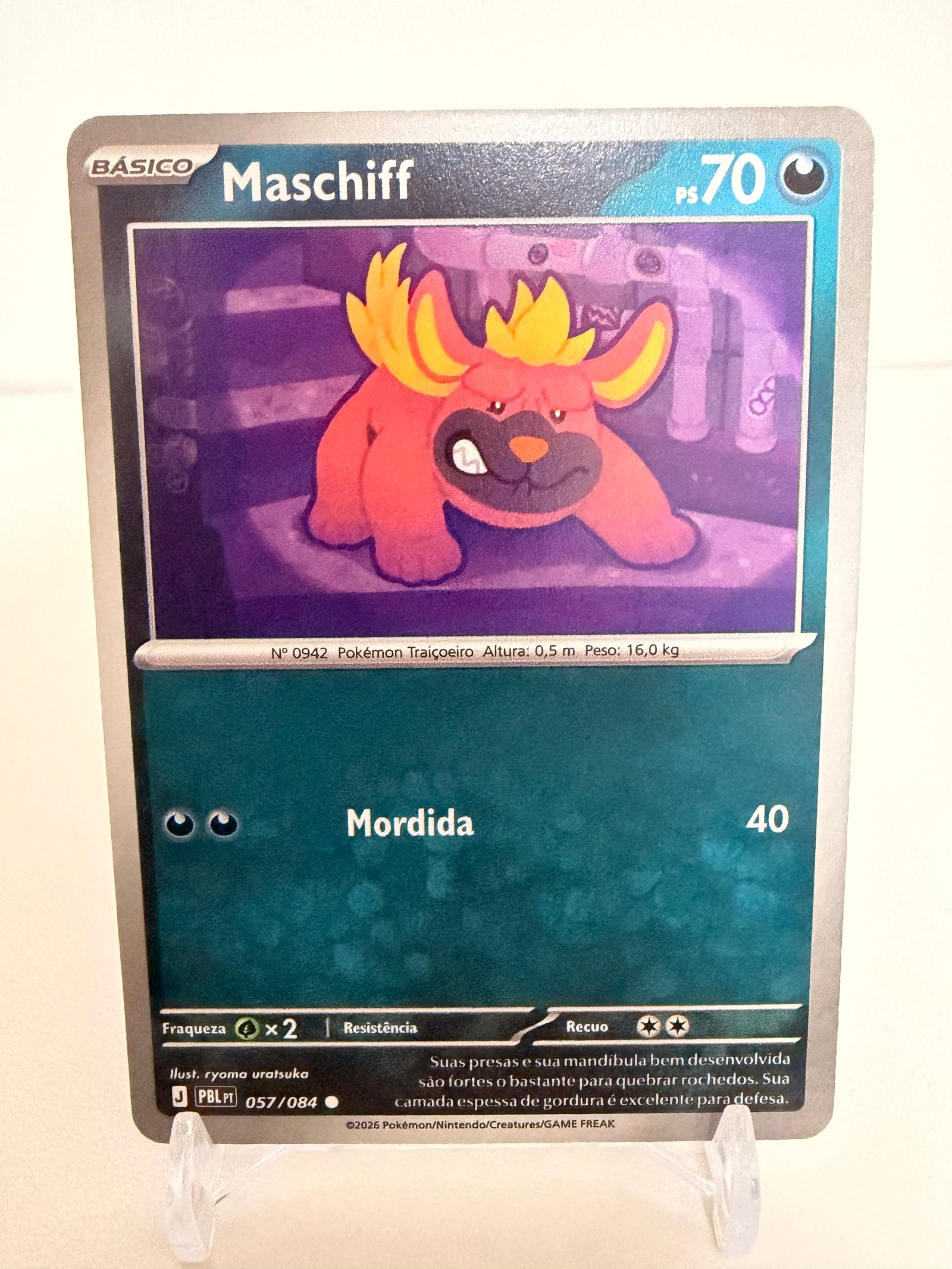Maschiff 057/84 comum