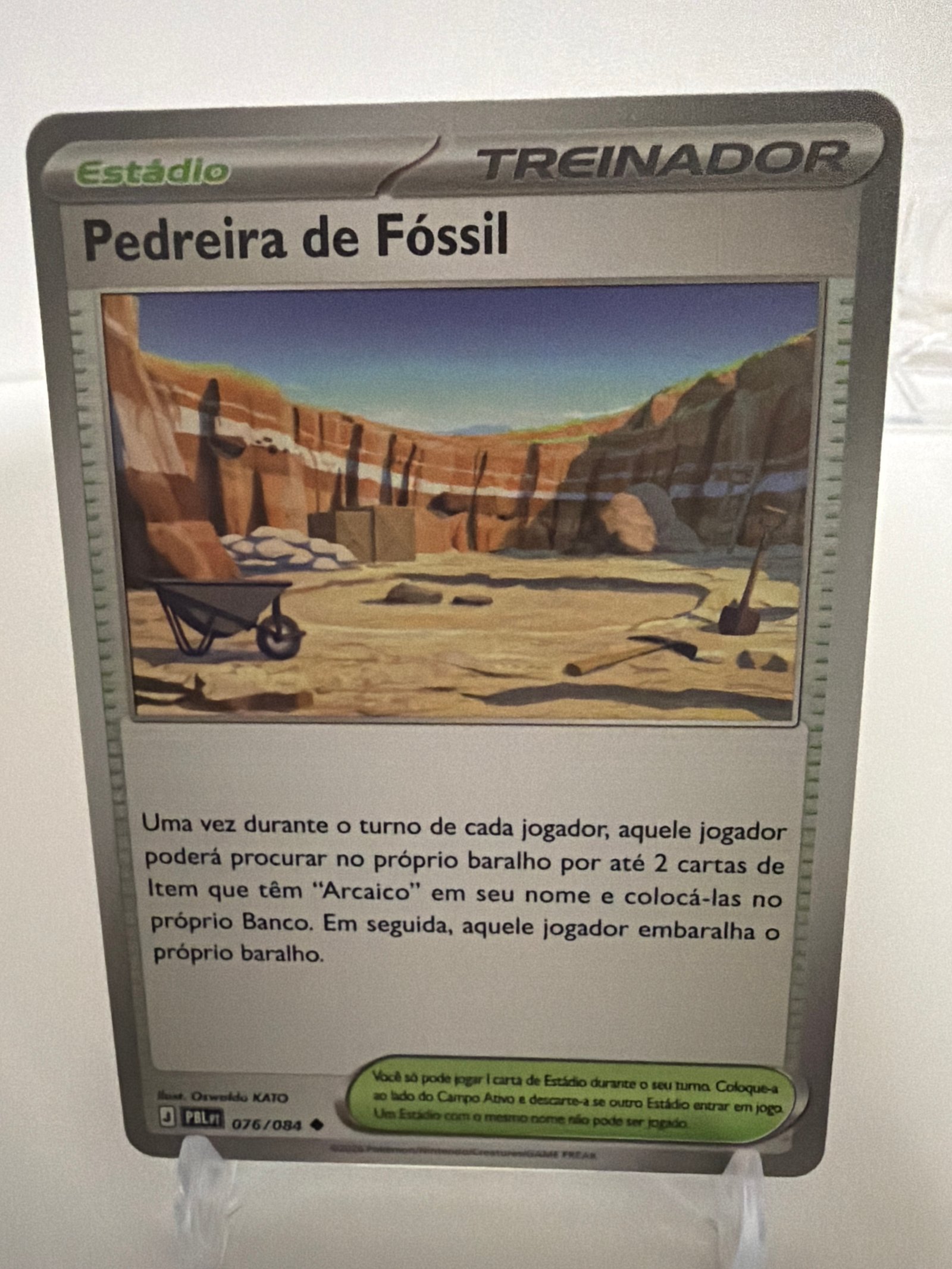 Pedreira de fóssil 076/84 comum