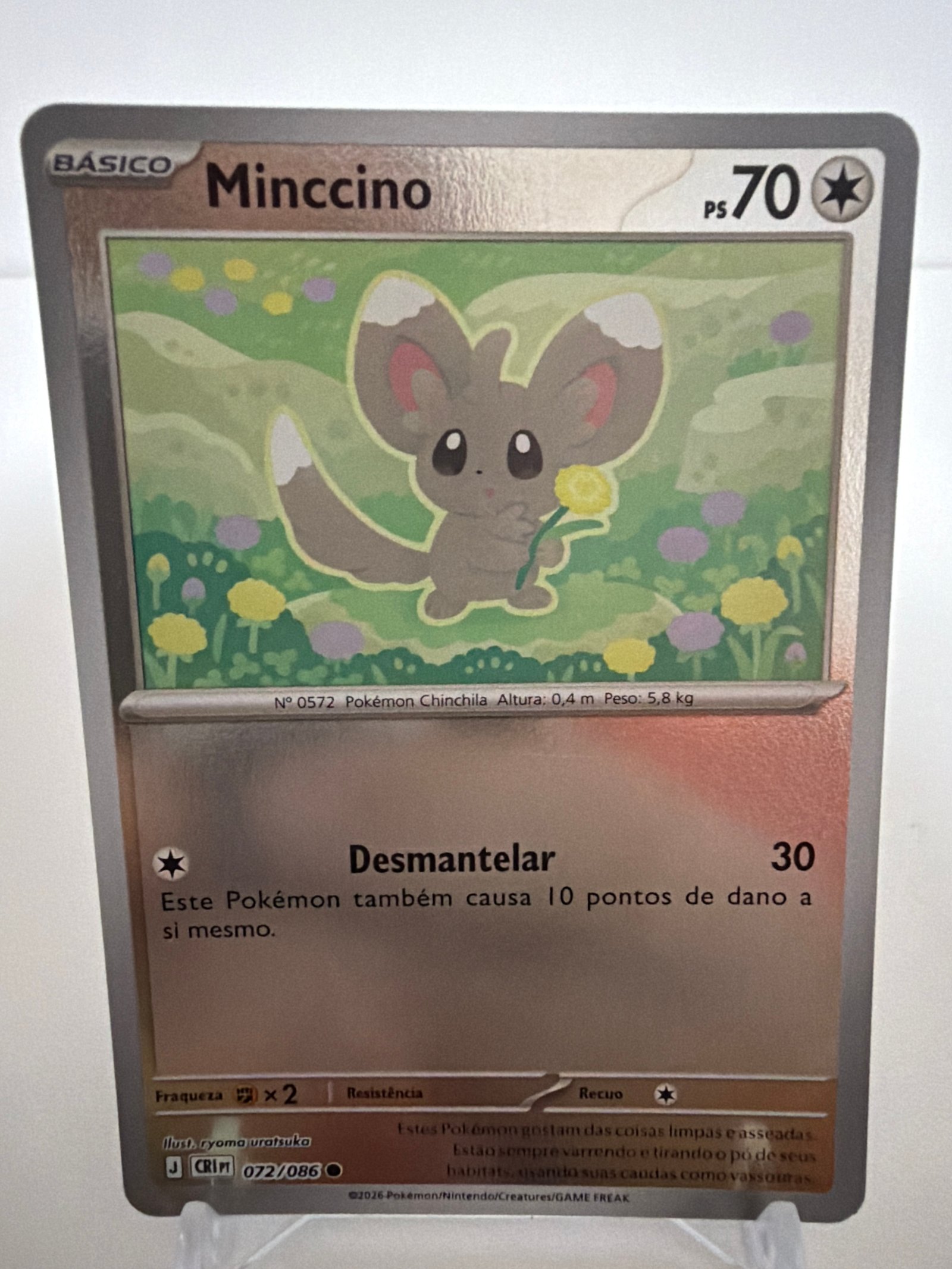 Minccino 072/86 reverse foil