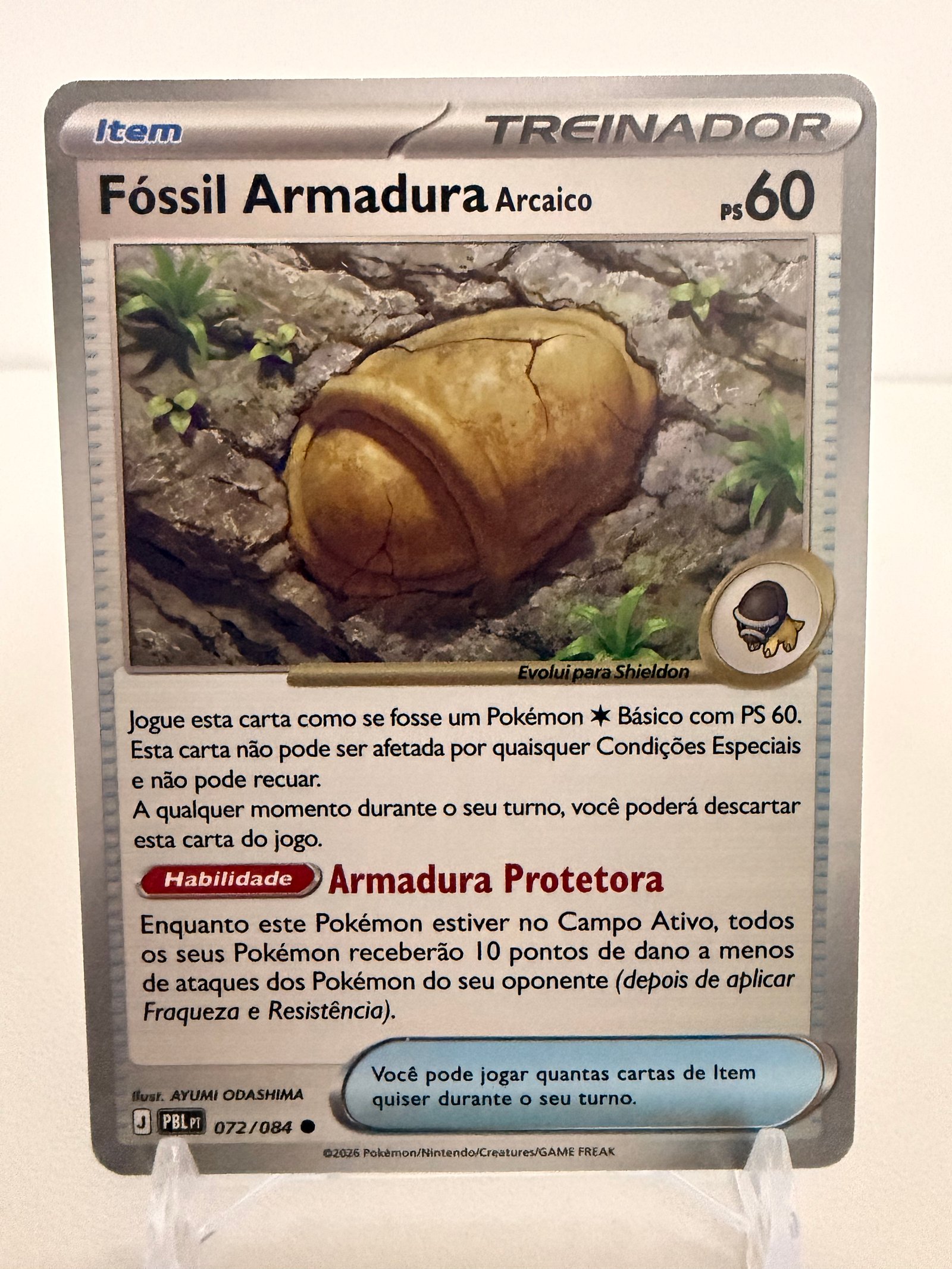 Fóssil armadura 072/84 comum