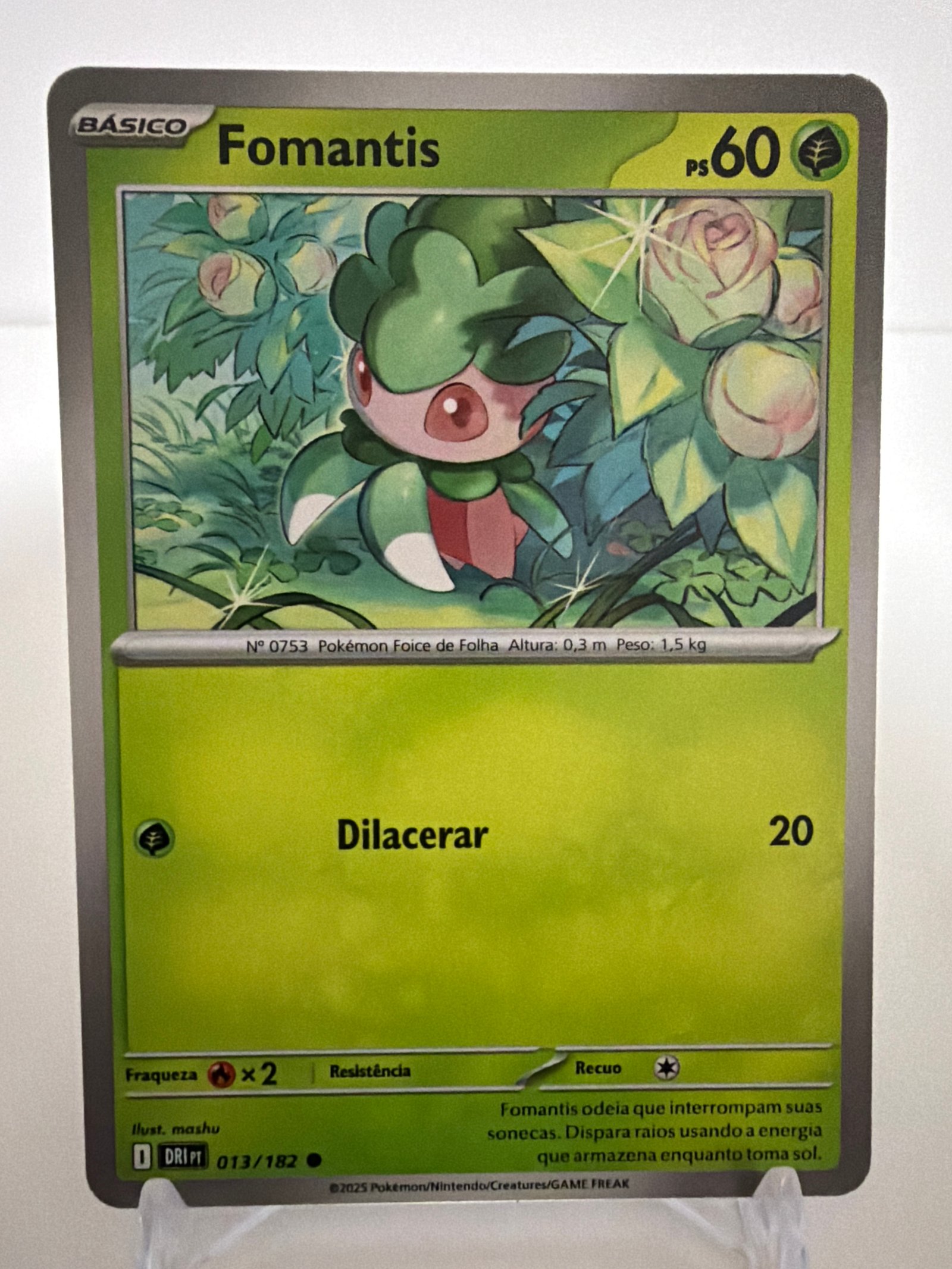 Fomantis 013/182 comum