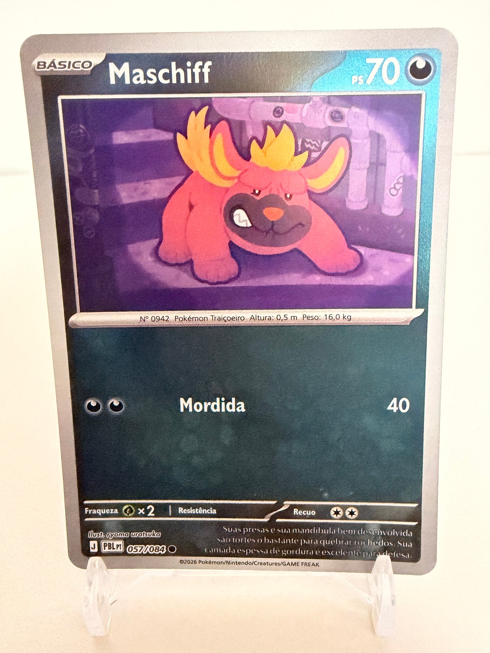 Maschiff 057/84 reverse foil
