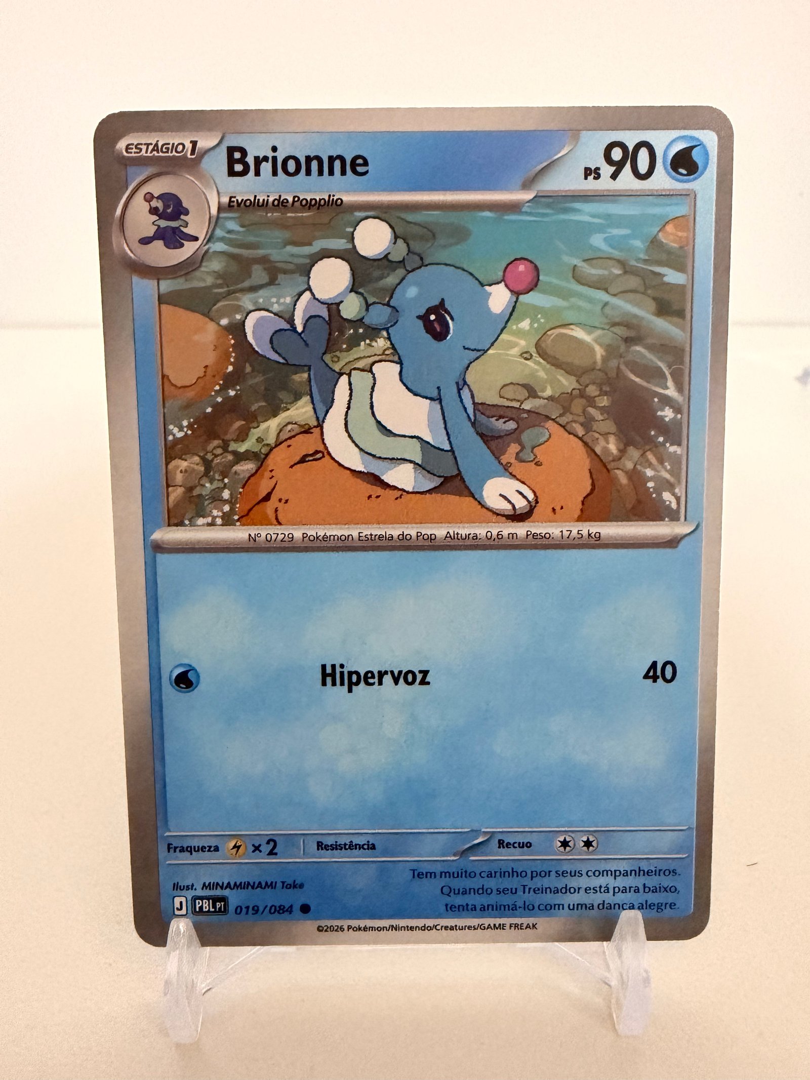 Brionne 019/84 comum