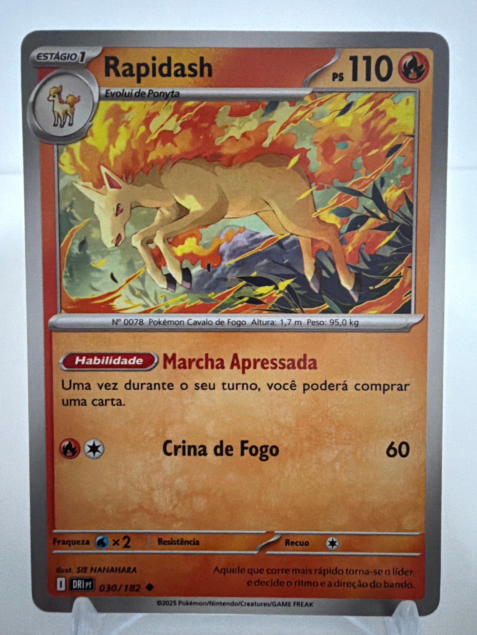 Rapidash 030/182 comum