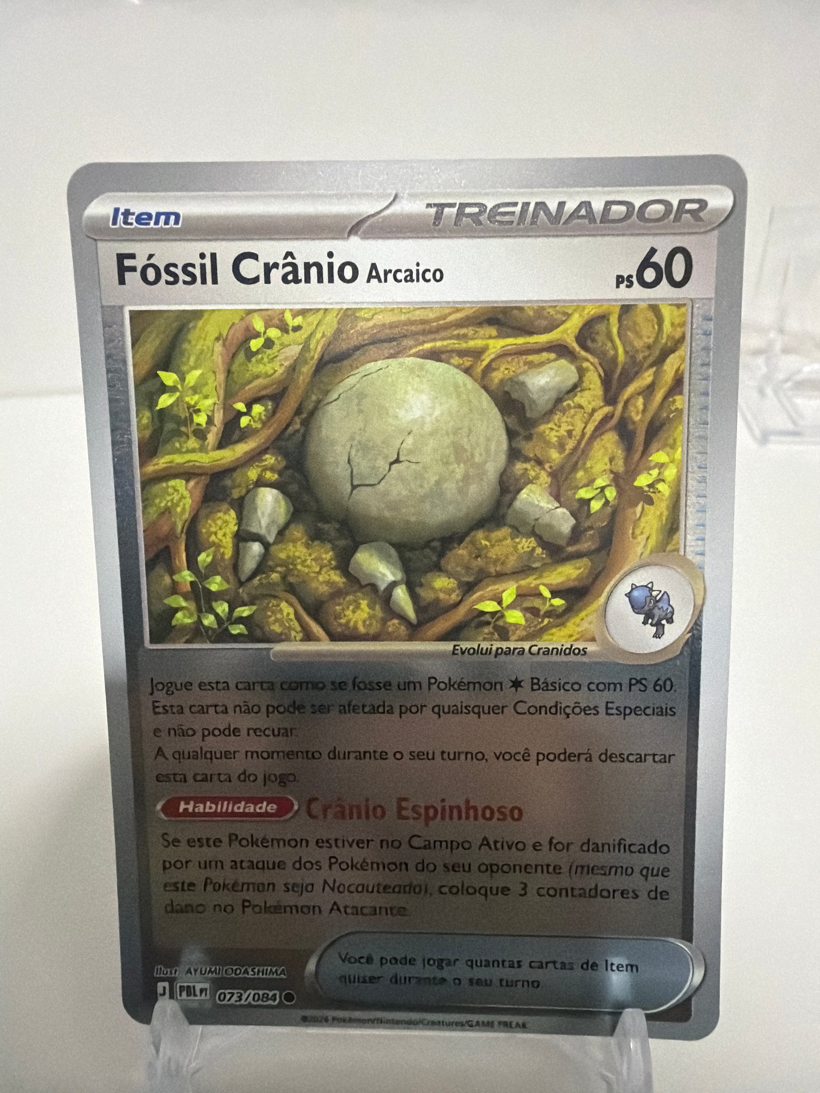 Fóssil crânio 073/84 reverse foil
