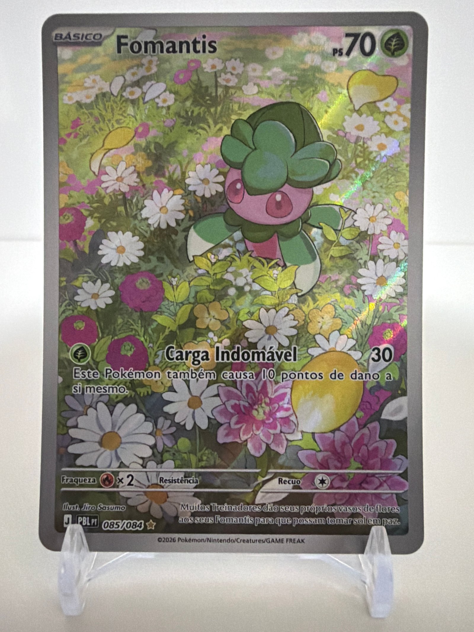 Fomantis 085/84