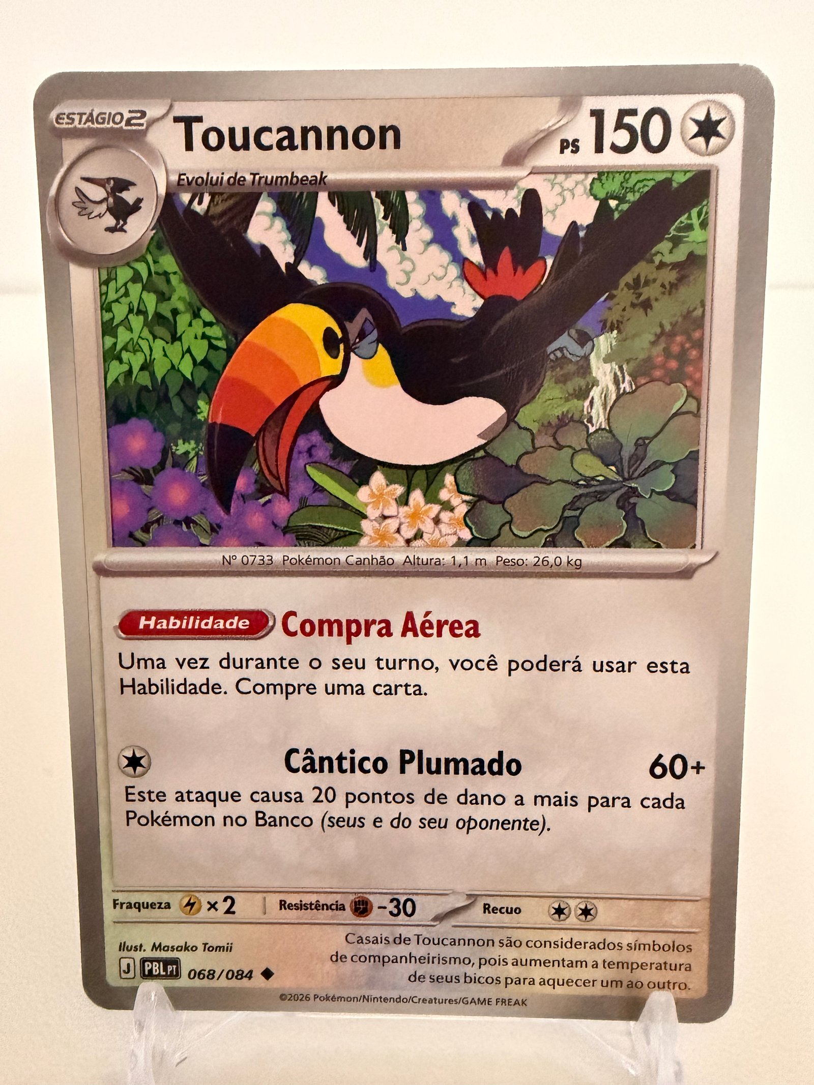 Toucannon 068/84 comum