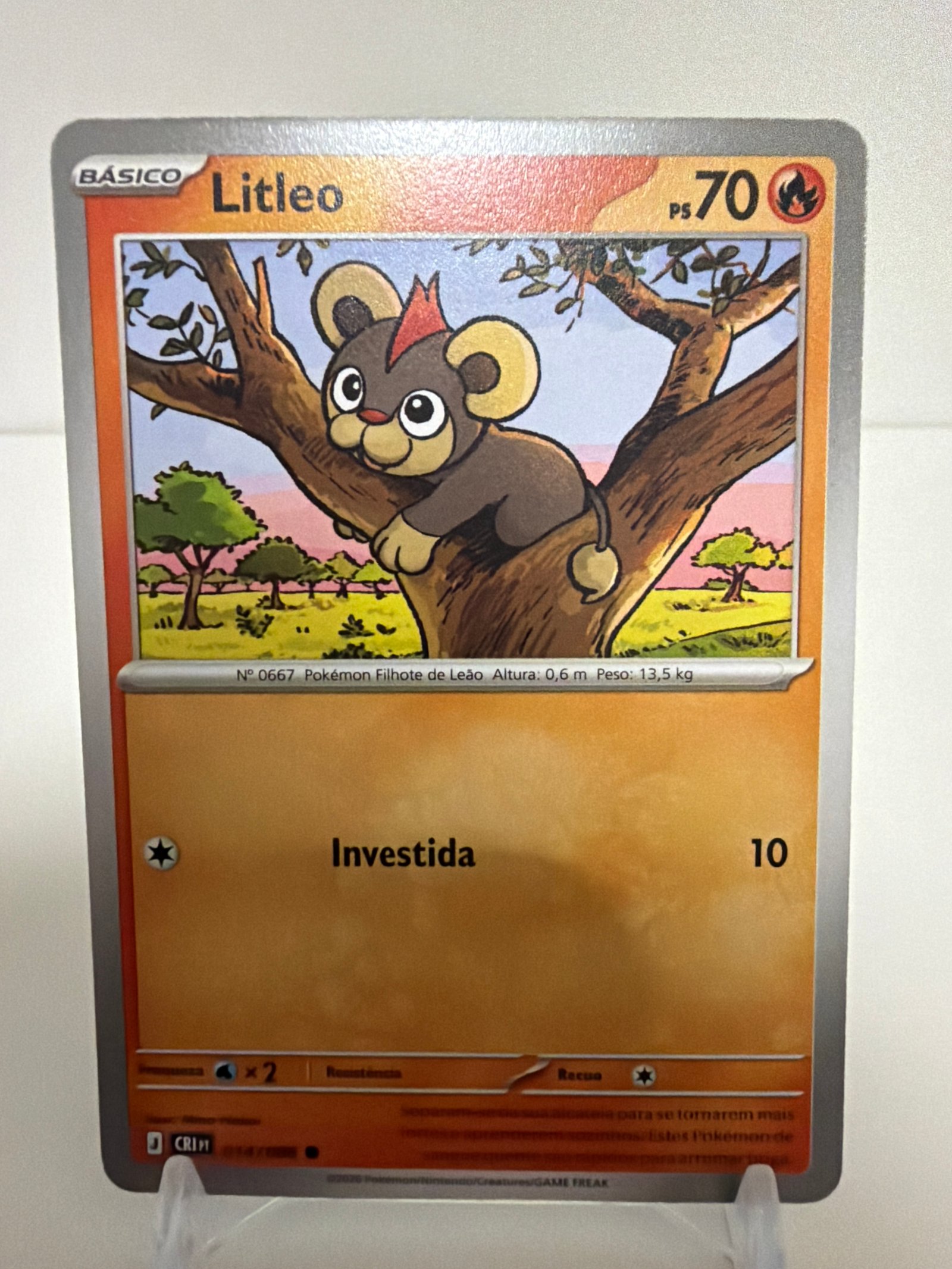 Litleo 014/86 comum