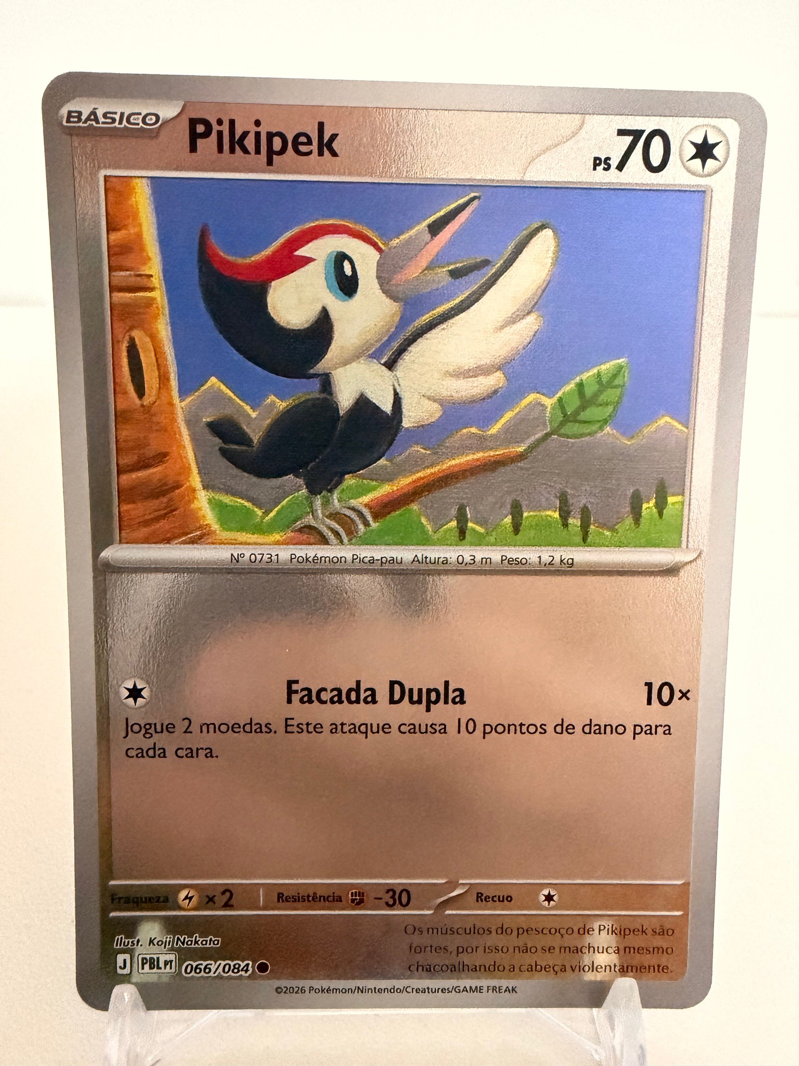 Pikipek 066/84 reverse foil