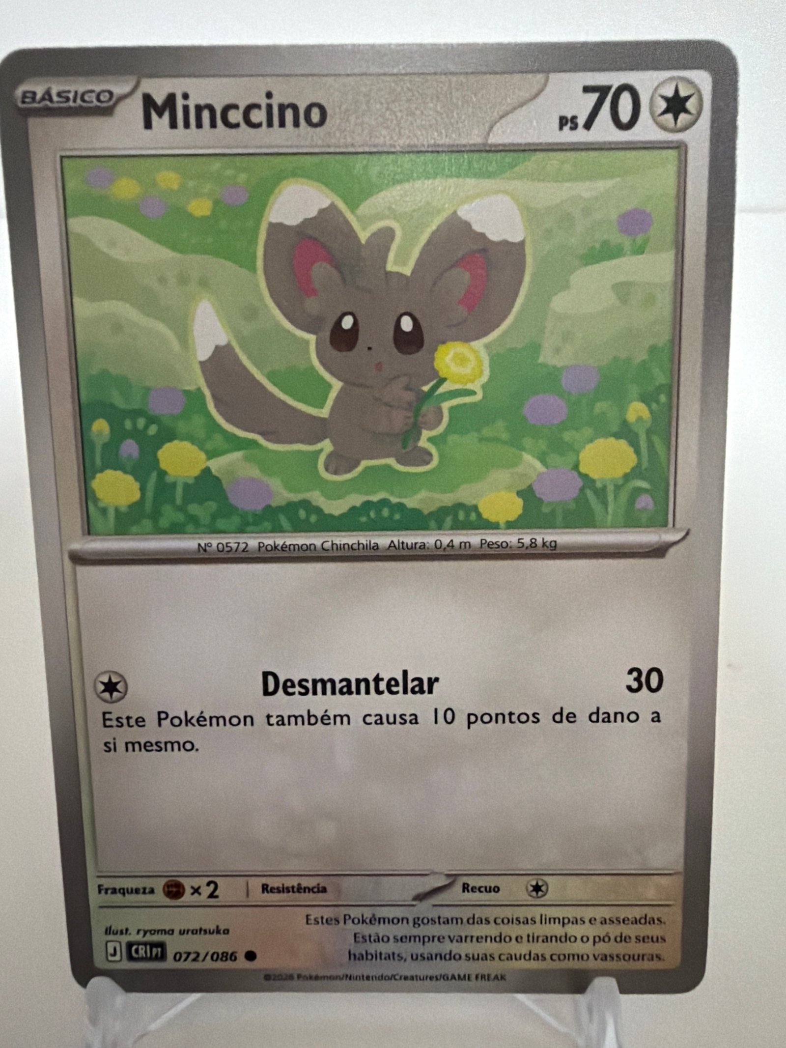 Minccino 072/86 comum